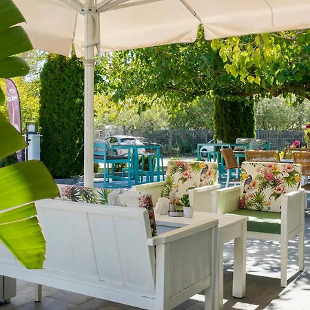 Nikolas Lejlighed Chrisi Ammoudia